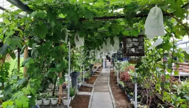 DPKP Kabupaten Tangerang Kunjungi Agrowisata Kampung Sawah DPKP Kabupaten Tangerang Kunjungi Agrowisata Kampung Sawah