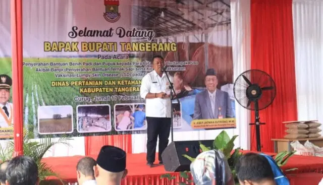 Pemkab Tangerang Serahkan Bantuan Benih Padi Kepada Petani Yang Terdampak Puso Pemkab Tangerang Serahkan Bantuan Benih Padi Kepada Petani Yang Terdampak Puso