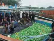 Operasi PRG BNN Pusat Gagalkan Penyelundupan 309 Kg Sabu Di Pulau Panaitan Banten Operasi PRG BNN Pusat Gagalkan Penyelundupan 309 Kg Sabu Di Pulau Panaitan Banten
