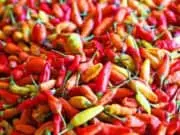 Pedas, Harga Cabai Rawit Merah di Pasar Malingping Lebak Tembus Rp100 Ribu per Kilogram
