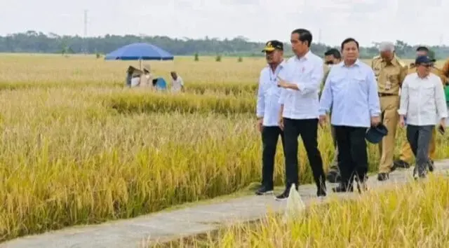 Presiden Jokowi : Minta Badan Pangan Nasional Hitung Harga Gabah Kering Petani Presiden Jokowi : Minta Badan Pangan Nasional Hitung Harga Gabah Kering Petani