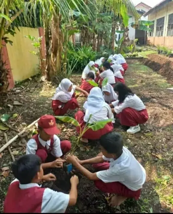 Manfaatkan Lingkungan Sekolah, Siswa-Siswi SDN Caringin 2 Tanam Pohon Pisang Manfaatkan Lingkungan Sekolah, Siswa-Siswi SDN Caringin 2 Tanam Pohon Pisang