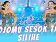 Lirik Lagu Sesok Tak Silihe dan Terjemahan – Niken Salindry Lirik Lagu Sesok Tak Silihe dan Terjemahan - Niken Salindry