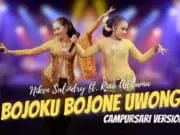 Lirik Lagu Bojoku Bojone Uwong – Niken Salindry, Rina Aditama Lirik Lagu Bojoku Bojone Uwong - Niken Salindry, Rina Aditama