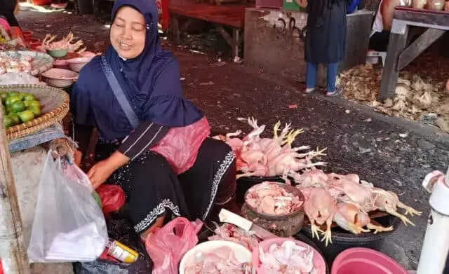Dikeluhkan Ibu Rumah Tangga, Harga Ayam Potong dan Telur di Kota Tangerang Mahal Dikeluhkan Ibu Rumah Tangga, Harga Ayam Potong dan Telur di Kota Tangerang Mahal