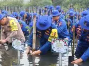 HUT Polairud ke-78, Polisi Bebersih Pantai dan Tanam Mangrove di Tanjung Pasir Tangerang HUT Polairud ke-78, Polisi Bebersih Pantai dan Tanam Mangrove di Tanjung Pasir Tangerang