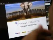 Fakta? Virtual Job Fair Kota Tangerang Telah Menyerap 19.624 Pengangguran Miliki Pekerjaan Virtual Job Fair Kota Tangerang Disebut Telah Menyerap 19.624 Pengangguran