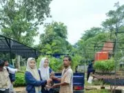 Kelompok 1 KKM STISIP Banten Raya Ajak Masyarakat Tanam Pohon Kelompok 1 KKM STISIP Banten Raya tanam pohon.