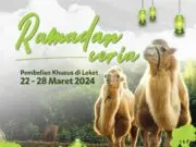 Promo Ramadan Ceria: Masuk Taman Safari Bogor Hanya Rp250 Ribu, Gratis Kulineran dan Buka Bersama!