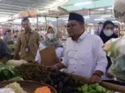 Perumda Pasar NKR: Harga dan Stok Bahan Pokok Jelang Lebaran Stabil Perumda Pasar NKR: Harga dan Stok Bahan Pokok Jelang Lebaran Stabil