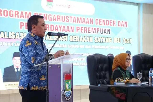 DPPPA Kabupaten Tangerang Sosialisasi Revitalisasi Gerakan Sayang Ibu DPPPA Kabupaten Tangerang Sosialisasi Revitalisasi Gerakan Sayang Ibu