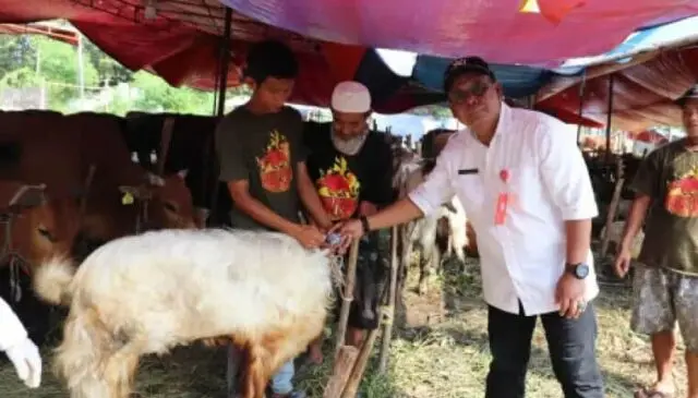 Pemkab Tangerang Siapkan Layanan Periksa Kesehatan Hewan Kurban Kepala Dinas Pertanian dan Ketahanan Pangan (DPKP) Kabupaten Tangerang Asep Asep Jatmika Sutrisno, Foto. (Istimewa)