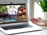 Telkomsel Salurkan 103 Sapi dan 607 Kambing Kurban Tersebar di 600 Lokasi Telkomsel Salurkan 103 Sapi dan 607 Kambing Kurban Tersebar di 600 Lokasi