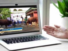 Telkomsel Salurkan 103 Sapi dan 607 Kambing Kurban Tersebar di 600 Lokasi Telkomsel Salurkan 103 Sapi dan 607 Kambing Kurban Tersebar di 600 Lokasi