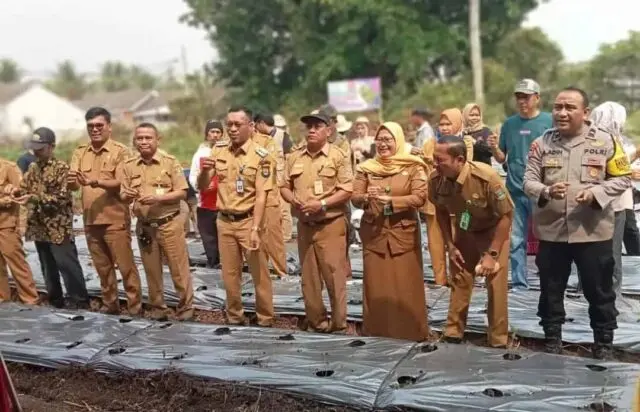 Gerakan Tanam Pangan Cepat Panen dalam Pemecahan rekor MURI, Camat Rajeg: Dalam Mengatasi Kenaikan Harga Cabe Penanaman cabe sebanyak 500 Pohon Cabe.berlokasi di Desa Rangca Bango, Kecamatan Rajeg Kabupaten Tangerang, Foto.(Istimewa)
