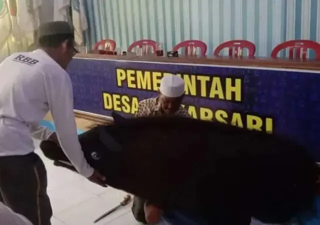 Tokoh Desa Mekarsari Lestarikan Budaya Adat Kesenian Bebedulan, Peringati HUT RI 79 Tokoh Desa Mekarsari Lestarikan Budaya Adat Kesenian Bebedulan, Peringati HUT RI 79