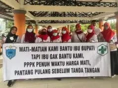 Pandeglang Tempat Sapi Perah Bagi Honorer Pandeglang Tempat Sapi Perah Bagi Honorer