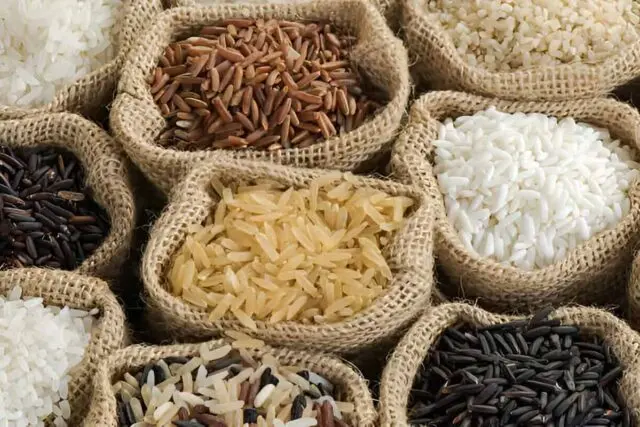 Beras Terbaik Pilihan Beras Terbaik untuk Penderita Diabetes