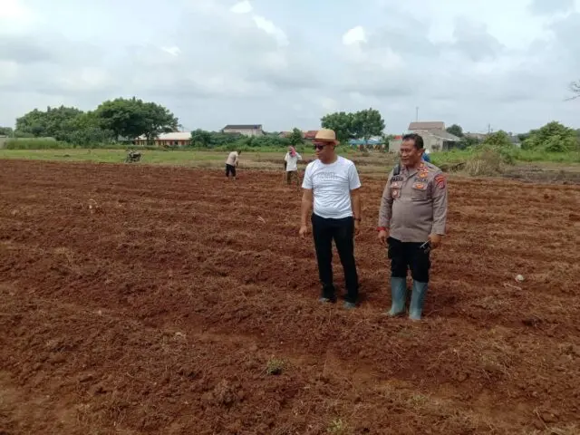 Camat Rajeg dan Kapolsek Rajeg Tinjau Penanaman Jagung, Mendukung Program Ketahanan Pangan Camat Rajeg dan Kapolsek Rajeg Tinjau Penanaman Jagung, Foto (Istimewa)