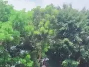 King Badak Nilai Kebijakan Dana Bos SDN 1 Kertaraharja Diduga Berpotensi Melanggar Hukum, Ini Kata Kadis Dindik Lebak King Badak soroti dugaan tindakan melawan hukum Dana BOS SDN 1 Kertaraharja, pada Senin (10/02/2025).