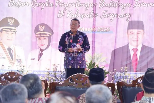 Budidaya Tanaman Herbal Produksi Jahe Merah dan Kunyit, DPKP Siapkan Bantuan untuk 20 Kelompok Tani Kepala Dinas Pertanian dan Ketahanan Pangan, Asep Jatnika menjelaskan, bantuan ke Poktan Sodong, Foto. (Istimewa)