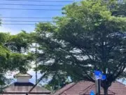 Masa Demonstran Minta Kapolsek Malingping Dicopot Jabatannya, Peredaran Narkoba Meresahkan Masyarakat Lebak Selatan