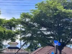 Febi Ketua KNPI PK Malingping saat berdemonstrasi prihal Darurat Narkoba di Lebak Selatan, pada Selasa (08/04/2025).