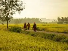 Urgensi Penyelamatan Lahan Pertanian untuk Ketahanan Pangan di Banten Urgensi Penyelamatan Lahan Pertanian untuk Ketahanan Pangan di Banten