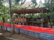 Pokdakan Lanang Agung: Kemandirian Ekonomi dari Lele Pokdakan Lanang Agung Kemandirian Ekonomi dari Lele