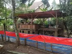 Pokdakan Lanang Agung: Kemandirian Ekonomi dari Lele Pokdakan Lanang Agung Kemandirian Ekonomi dari Lele