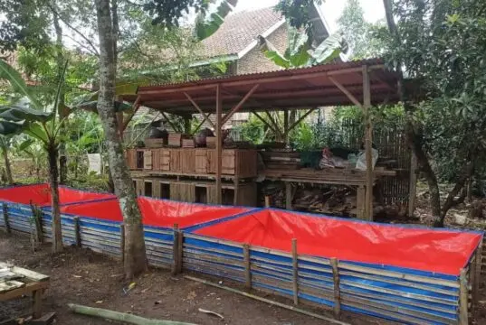 Pokdakan Lanang Agung: Kemandirian Ekonomi dari Lele Pokdakan Lanang Agung: Kemandirian Ekonomi dari Lele
