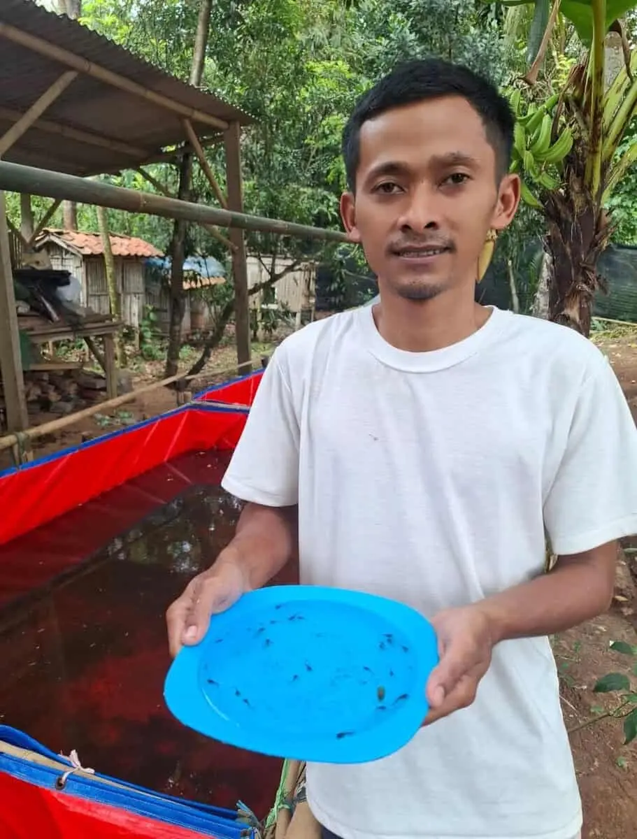 Pokdakan Lanang Agung Kemandirian Ekonomi dari Lele