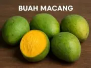 Apa Itu Buah Macang? Manfaat, Bahaya dan Cara Mengonsumsinya Apa Itu Buah Macang Manfaat, Bahaya dan Cara Mengonsumsinya