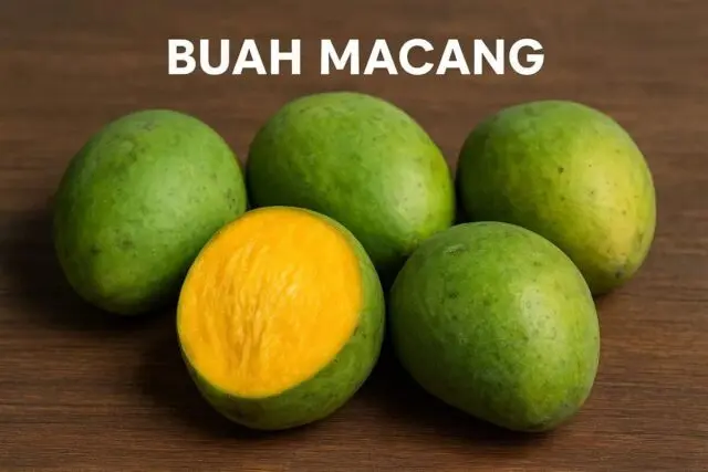 Apa Itu Buah Macang Manfaat, Bahaya dan Cara Mengonsumsinya Apa Itu Buah Macang Manfaat, Bahaya dan Cara Mengonsumsinya