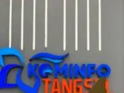 Pemkot Tangsel Raih Penghargaan Nasional dari BSSN Pemkot Tangsel Raih Penghargaan Nasional dari BSSN