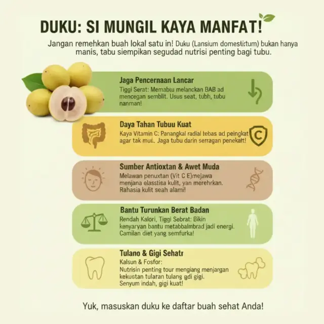 manfaat buah duku manfaat buah duku