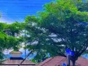 Aktivis Febi Pirmansyah Desak Sanksi Tegas Oknum ASN Dinsos Lebak, Diduga Lakukan Pungli Aktivis M Febi Pirmansyah minta Bupati Lebak tindak tegas Oknum ASN Dinsos Lebak wilayah Selatan di Malingping yang di duga Pungli, pada Senin (09/03/2026).