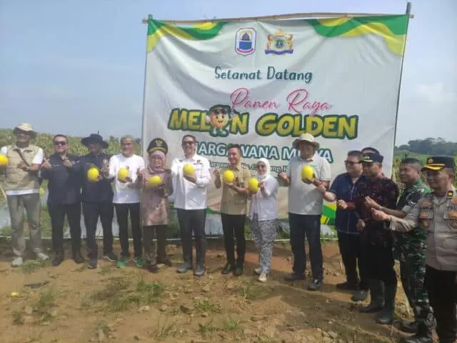 Panen 30 Ton Melon Golden di Kelompok Tani Margawana Mulya, Kecamatan Cileles, Kabupaten Lebak, pada Kamis (14/05/2026). Panen 30 Ton Melon Golden di Kelompok Tani Margawana Mulya, Kecamatan Cileles, Kabupaten Lebak, pada Kamis (14/05/2026).