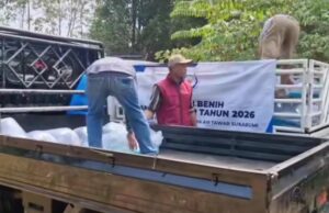 Usulan Benih Ikan Aspirasi Anggota DPRD Lebak Ujang Giri Disetujui KKP RI, Warga Cilograng Sambut Gembira Aspirasi Anggota DPRD Kabupaten Lebak Fraksi Partai Nasdem Ujang Giri direalisasikan oleh KKP RI, warga Cilograng sambut gembira, pada Selasa (28/07/2026).