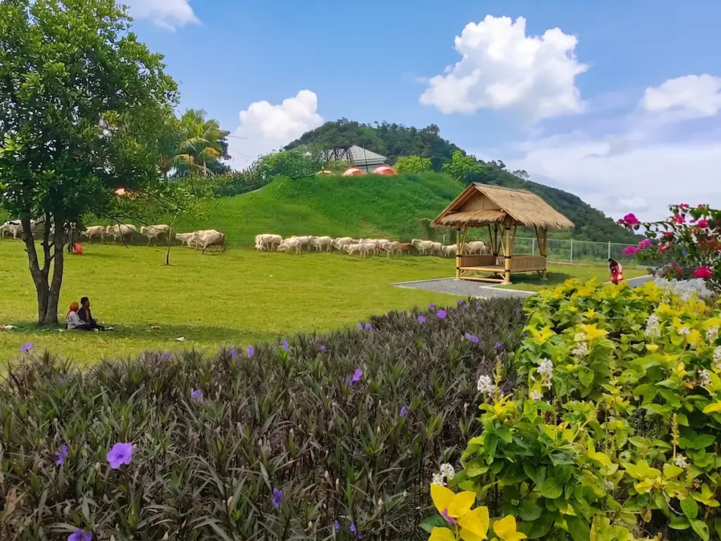 Wisata Agro Bukit Waruwangi Serang