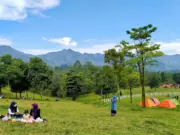 Wisata Agro Bukit Waruwangi Serang