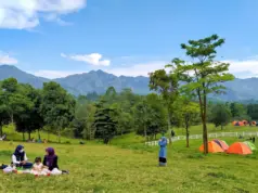 Wisata Agro Bukit Waruwangi Serang