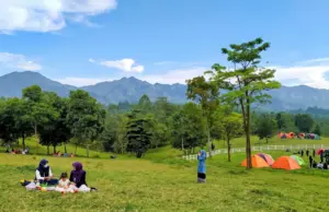 Wisata Agro Bukit Waruwangi Serang