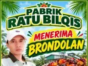 Pabrik Ratu Bilqis Hadir untuk Masyarakat, Berbagi dan Dukung Ekonomi Warga melalui Usaha Sawit Pabrik Ratu Bilqis peduli kepada masyarakat, pada Kamis (22/10/2026).