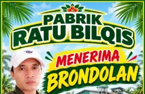 Pabrik Ratu Bilqis peduli kepada masyarakat, pada Kamis (22/10/2026).