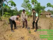 Polsek Cijaku Bersama BPD HIPKA Lebak Tanam Pohon Nangka Madu, Targetkan 1.000 Pohon Secara Bertahap Ikuti Arahan Presiden Prabowo, Kapolsek Cijaku Kolaborasi Bersama BPD HIPKA Lebak Tanam 1000 Pohon Nangka Madu Bertahap, pada Jum'at (23/10/2026).