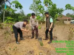 Polsek Cijaku Bersama BPD HIPKA Lebak Tanam Pohon Nangka Madu, Targetkan 1.000 Pohon Secara Bertahap Ikuti Arahan Presiden Prabowo, Kapolsek Cijaku Kolaborasi Bersama BPD HIPKA Lebak Tanam 1000 Pohon Nangka Madu Bertahap, pada Jum'at (23/10/2026).